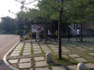 IMG_3676.jpg